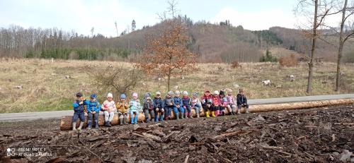 V lese sa deti zahrali na malých bádateľov, pozorovateľov