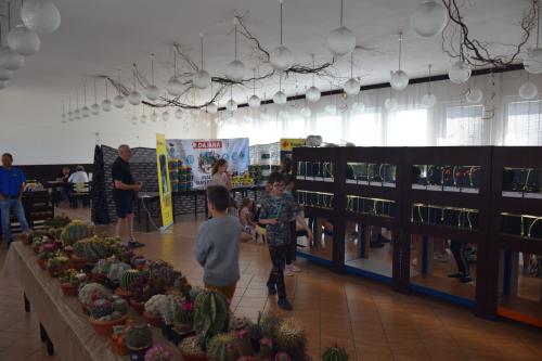 Malí i veľkí návštevníci výstavy rybičiek