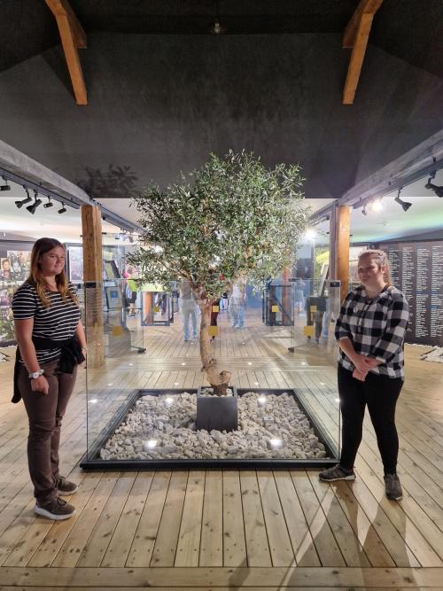 Múzeum holokaustu v Seredi